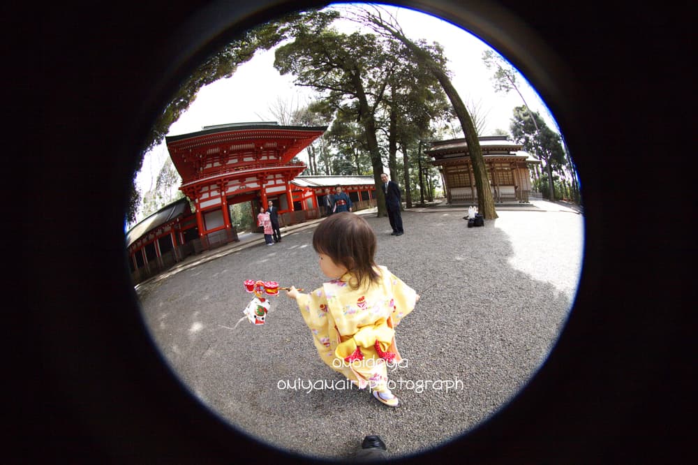 神社で参道を歩く